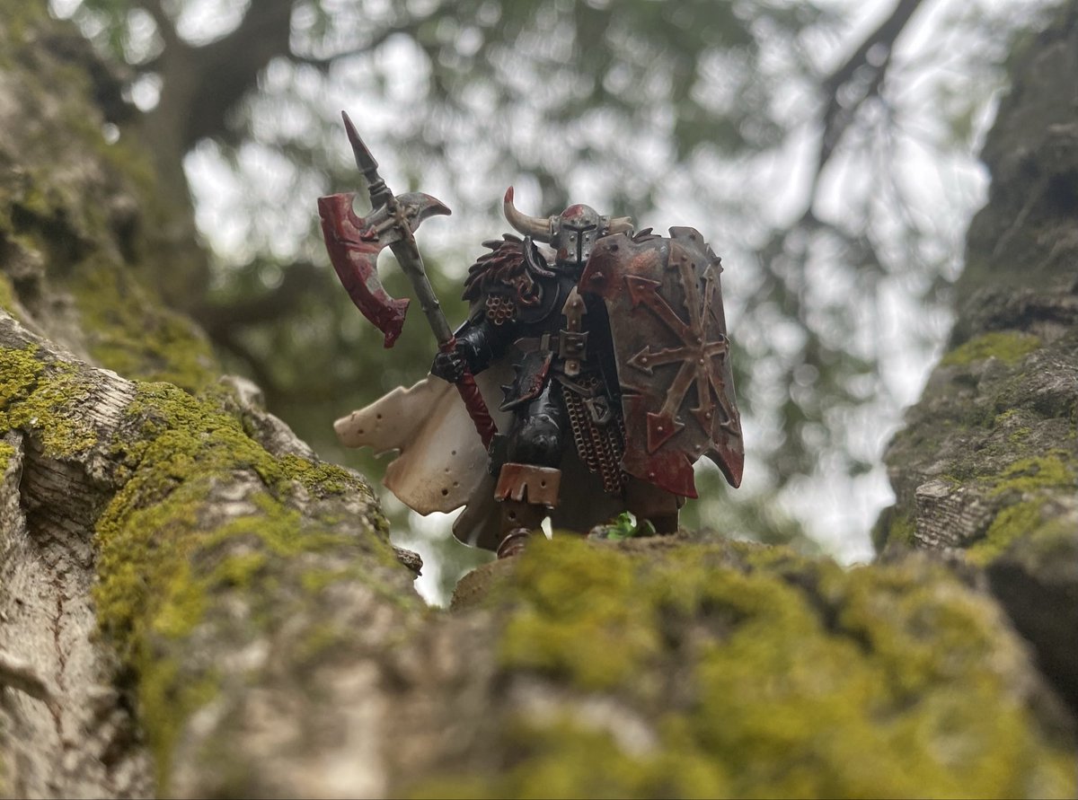 SaskiaFig's tweet photo. Took some pictures in the park #WarhammerCommunity #miniaturepainting https://t.co/vlHZdjQdEw