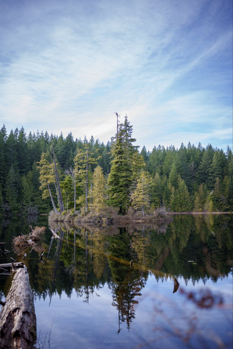 Shantanu Gupta tweet media