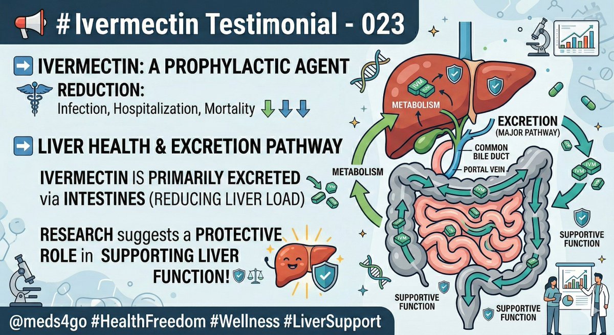 AspainEric's tweet photo. 📢 LET'S TALK ABOUT #Ivermectin 
#Testimonials -0⃣2⃣3⃣
➡️ LIVER HEALTH: Ivermectin is primarily excreted through the intestines, reducing the metabolic load on the liver. 🛡️⚖️

@meds4go #HealthFreedom #Wellness #LiverSupport https://t.co/xMlylzle67