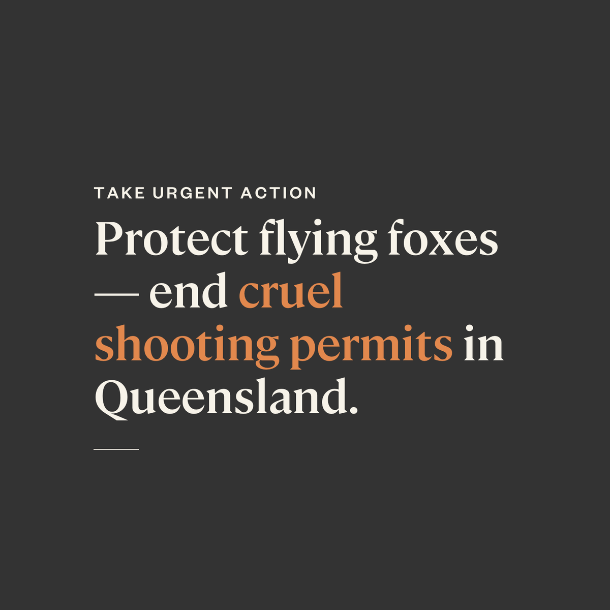 Friends of Bats and Habitat Gippsland tweet media