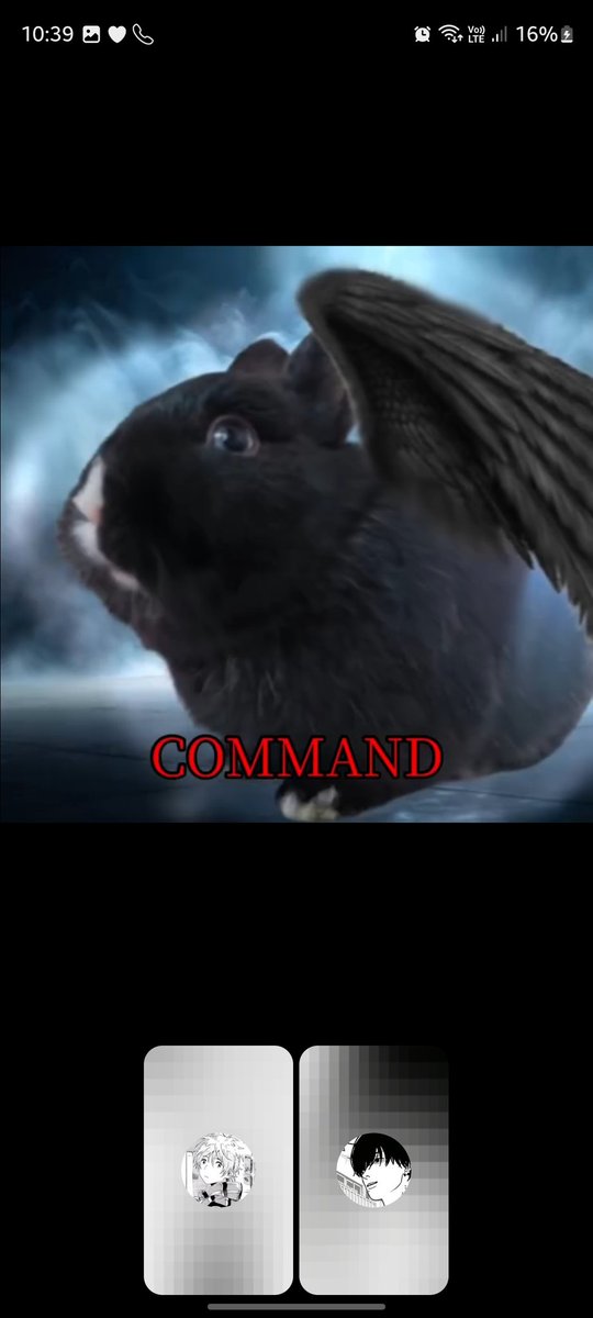 Estos si son amikos <a href="/tobbxxu/">tobias</a>