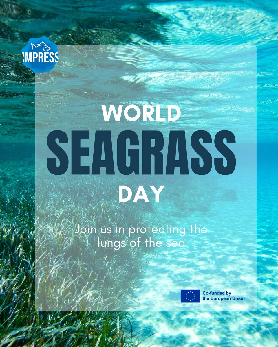 IMPRESS EU tweet media