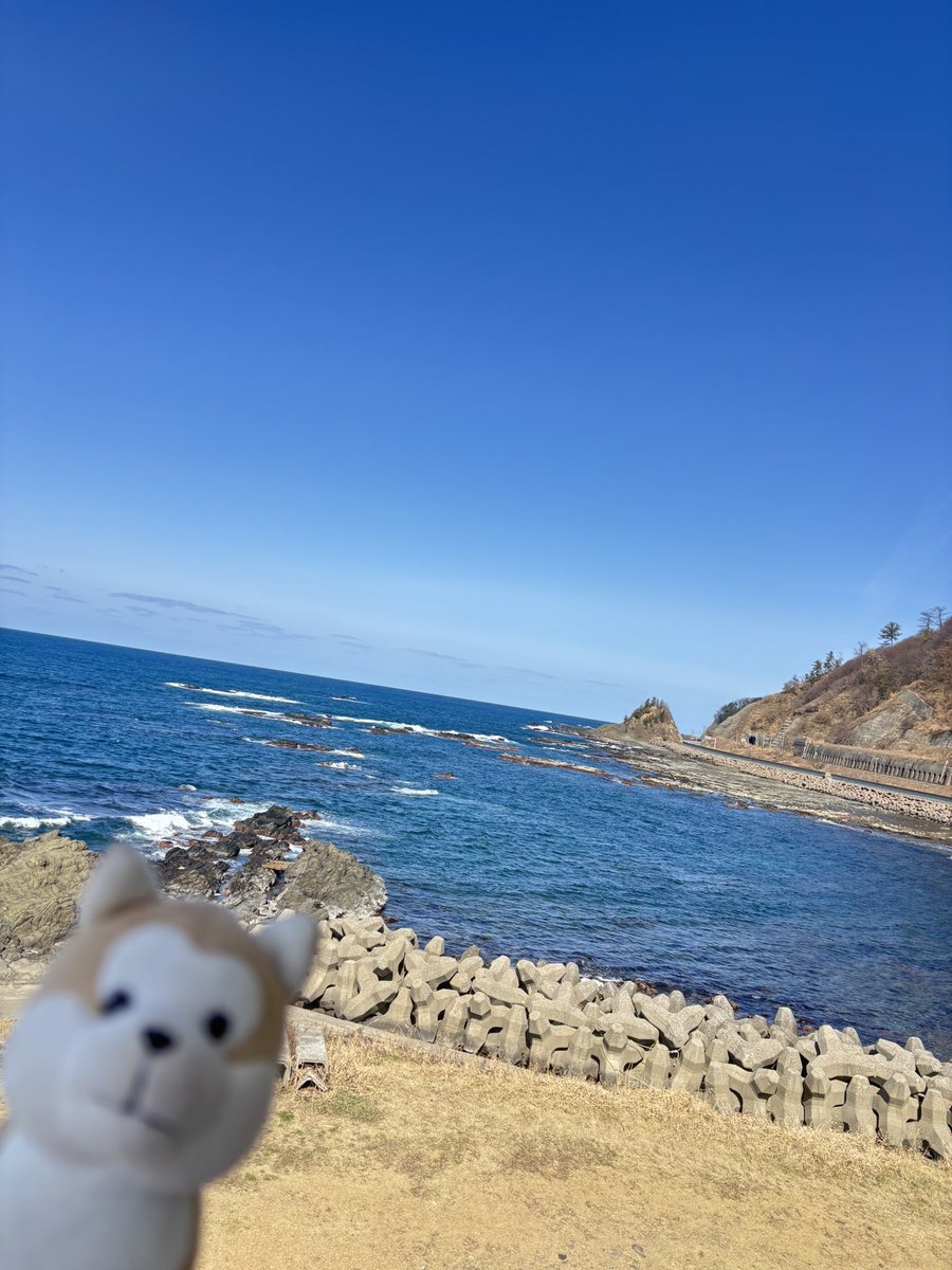 おとは tweet media