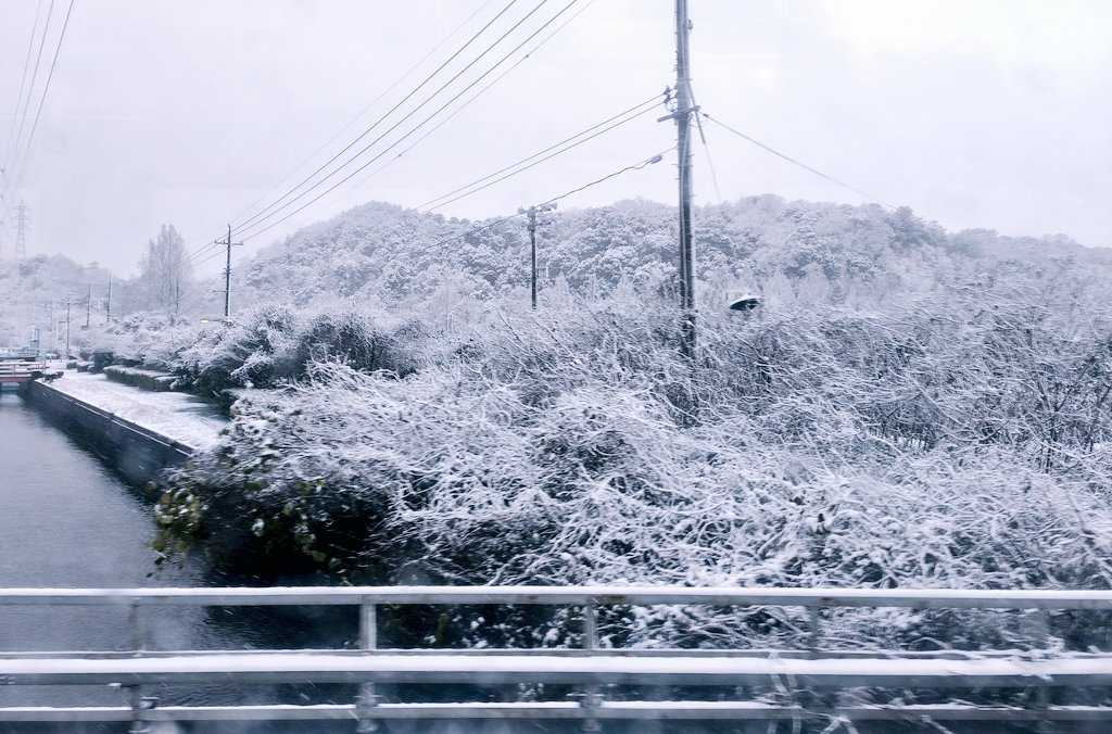 aki_yangon's tweet photo. 2026/01/02
📍岡山県(倉敷)
途中で通った米子〜新見辺りは大雪
雪が降らない所で育ったので大興奮
阿智神社
歌川国芳の美術館
ままかり酢 https://t.co/ixUif3dyUj