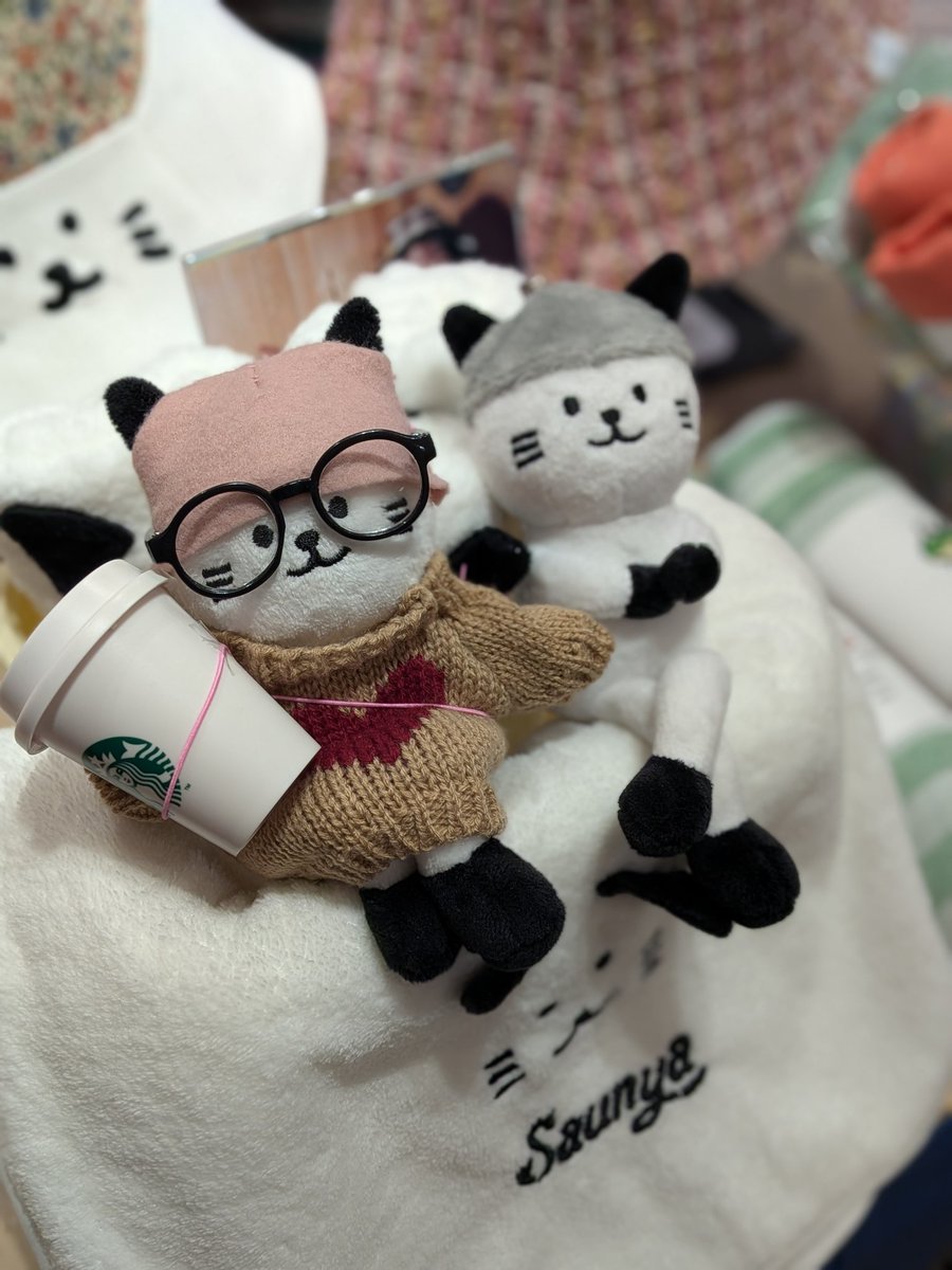 サウニャハット®作家 tweet media