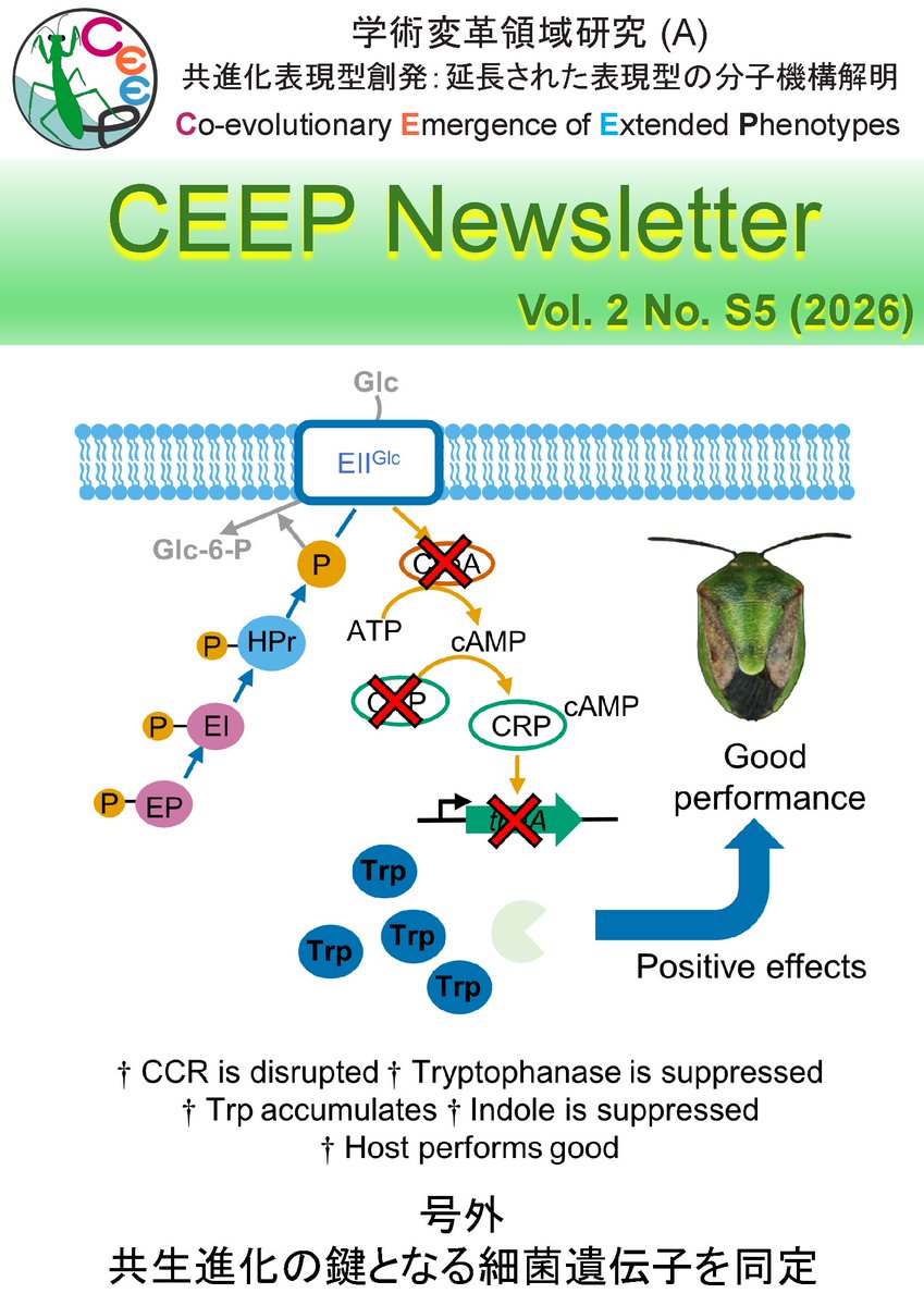"Extended Phenotype" / 学術変革領域研究（A）「共進化表現型創発」 tweet media