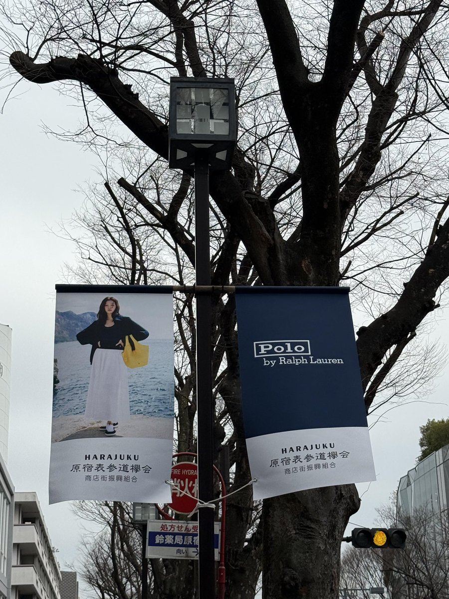 PineconeSanaCN tweet media