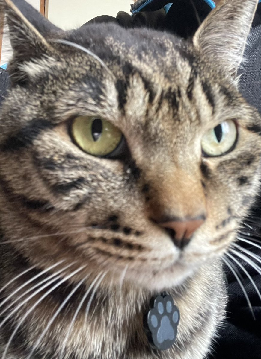 もれそう tweet media