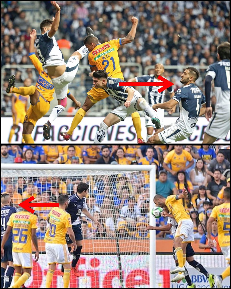 La verdad si le tengo envidia a Nico Sánchez, imagínate ver en primera fila los cabezazos que encaminaron a Tigres a la sexta y séptima.