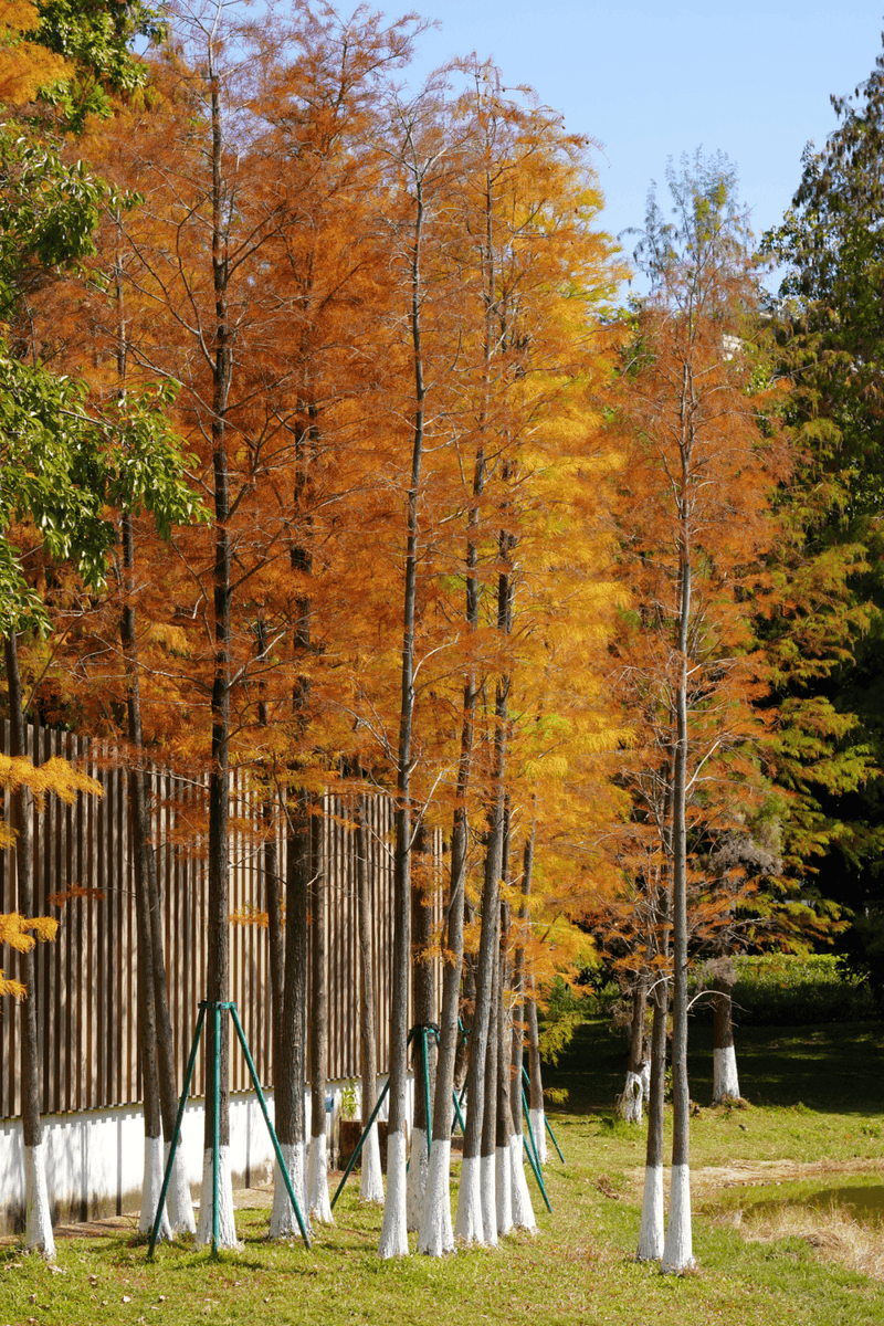 albertaflosi tweet media