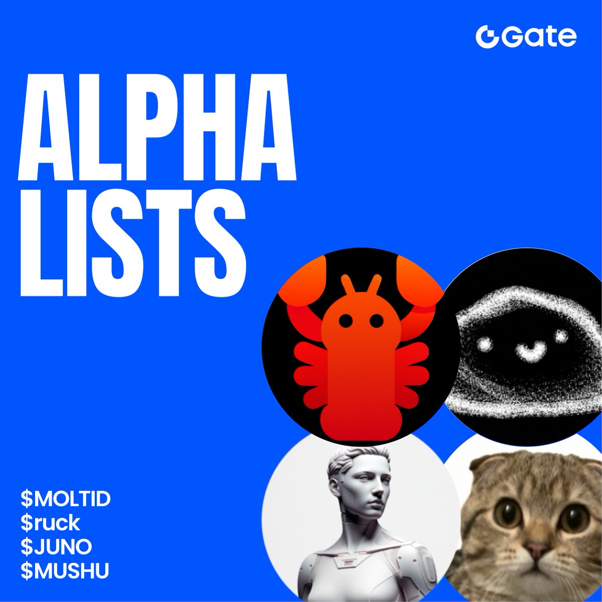 Gate Alpha tweet media