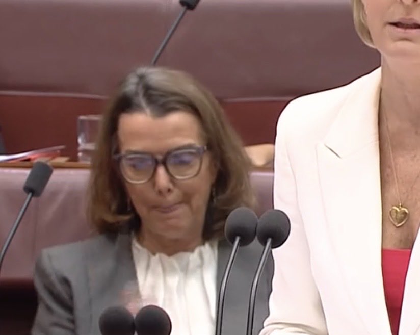 SaraJade_13's tweet photo. Anyone notice while #SenatorCash was responding to #SenatorWong censure motion re #PaulineHanson inflammatory Muslim remarks how agitated #SenatorRuston behind her was BL fiddling with phone glasses, squirming in her seat, couldn’t sit still, compressed mouth angry pursed lips. https://t.co/YLHcIdGh0M