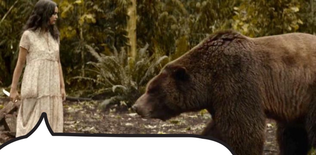 no context yellowjackets 🐝 tweet media