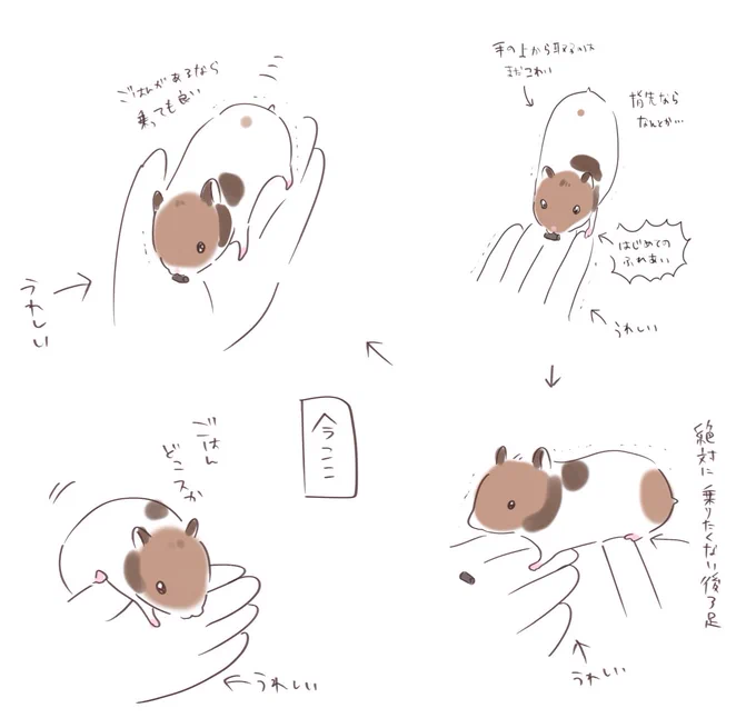 日記 