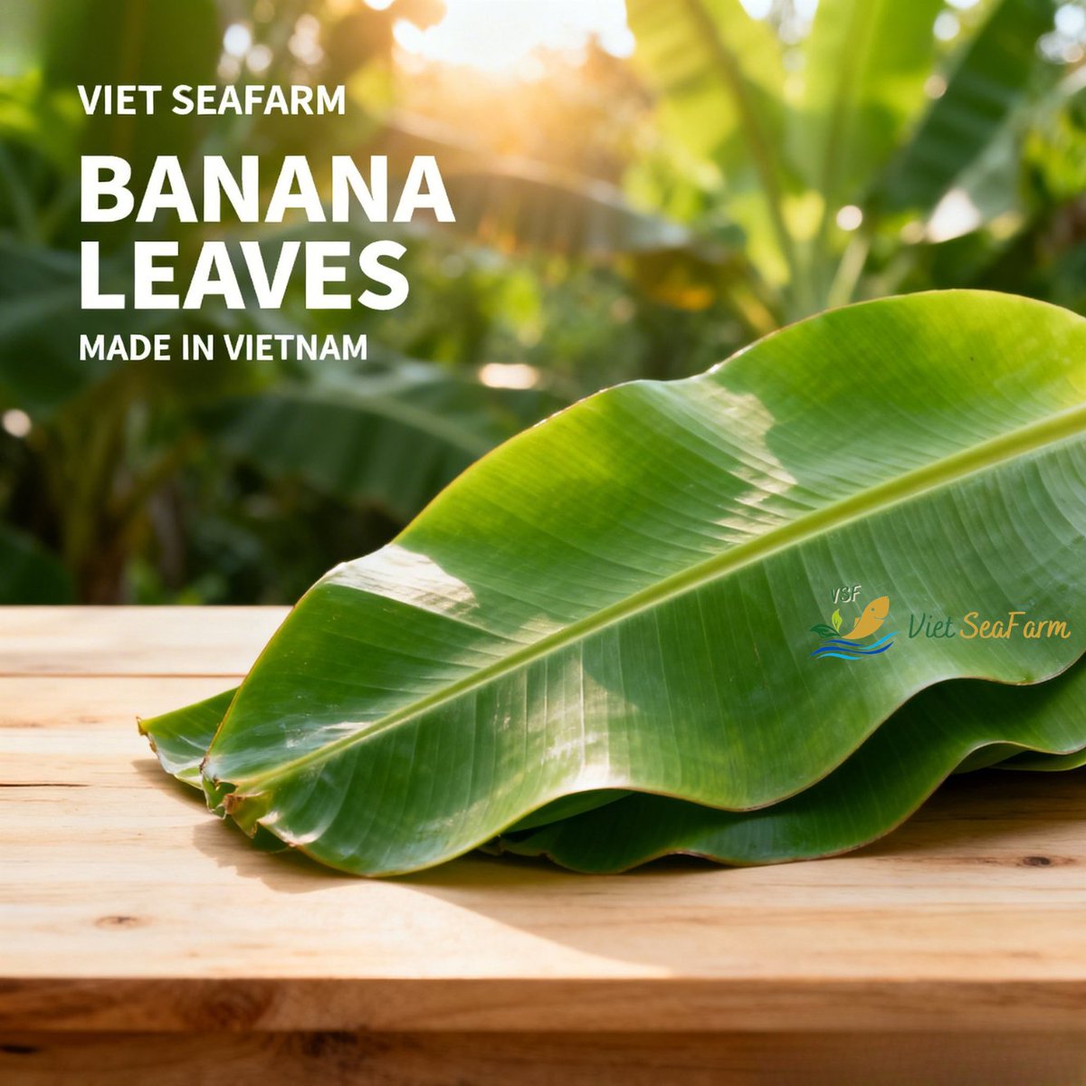 VSF202's tweet image. 🍃 Banana Leaves – Vietnam
Natural • Eco-friendly • Food wrapping
📦 25kg packing
📩 CONTACT – LOUIS (Sales Executive)
📧 export2@vietseafarm.com.vn
📞 Tel / WhatsApp / WeChat: (+84) 347 499 738
🌐 vietseafarm.com.vn
#BananaLeaves #EcoPackaging #VietnamExport