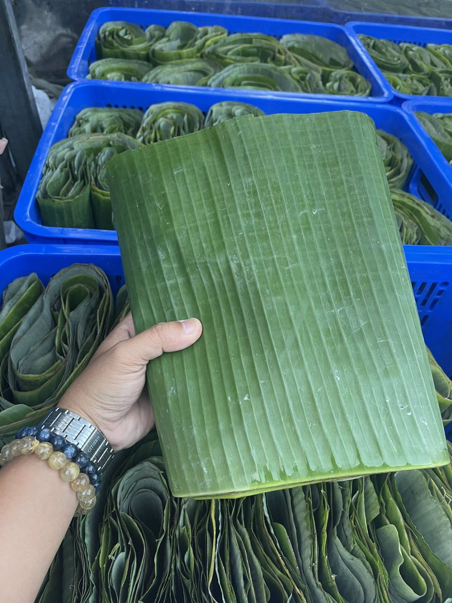 VSF202's tweet image. 🍃 Banana Leaves – Vietnam
Natural • Eco-friendly • Food wrapping
📦 25kg packing
📩 CONTACT – LOUIS (Sales Executive)
📧 export2@vietseafarm.com.vn
📞 Tel / WhatsApp / WeChat: (+84) 347 499 738
🌐 vietseafarm.com.vn
#BananaLeaves #EcoPackaging #VietnamExport