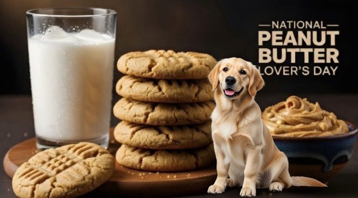 FourPawsPlace tweet picture