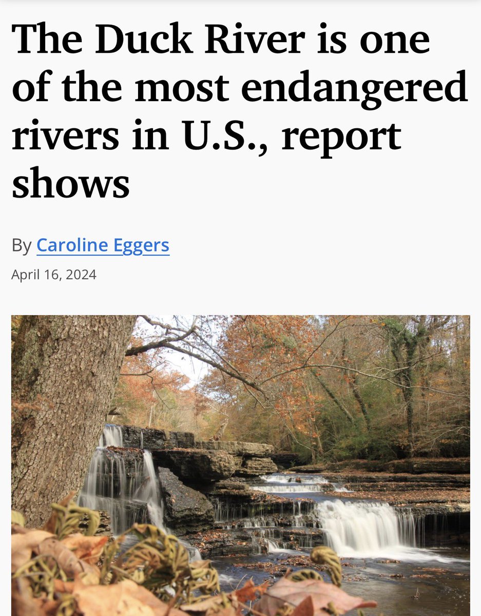 Dustin Kittle tweet media