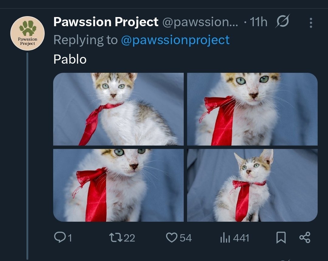 AlingBB_2018's tweet photo. Miming19 - featuring the leader of the clowder John Paulo MeowSe
Tanda-tanda ko pa nung araw humiling. Sa bulalaCAT ay nag MING-MING-MING ๐น
Thank you Pawssion Project ๐ฑ
@pawssionproject @imszmc
@SB19Official #SB19 #SB19VISA
#SB19_PABLO #PawssionProject https://t.co/xsb3BFyPtA