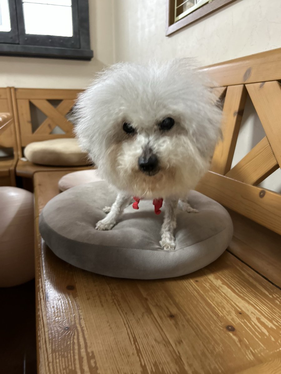 ハルくん (@9Z8lquSv8B3FMpN) / Posts / X