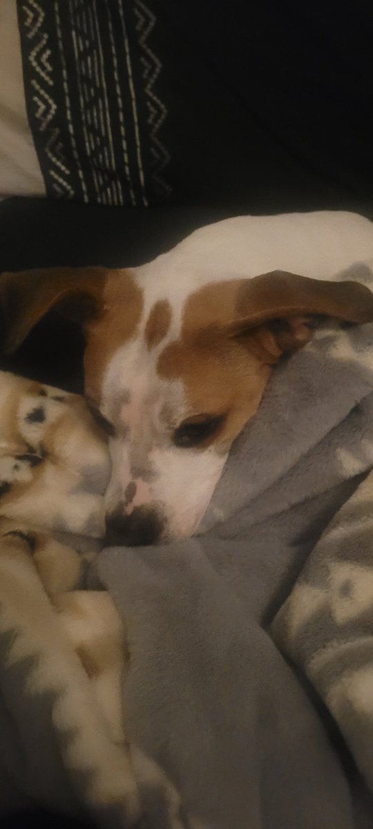 The best snuggles around