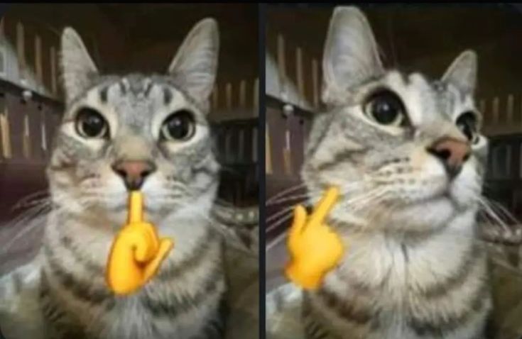 🔞RicoStanny🔞 tweet media