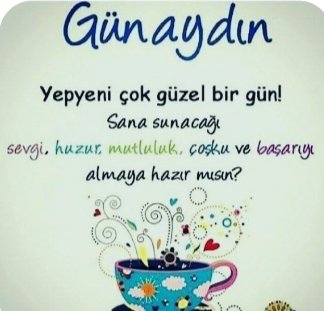 Hızır Ayazoğlu (@kaptanbeykoz) on Twitter photo 