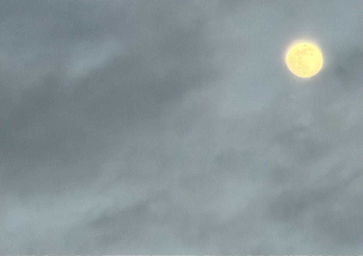 DMiller52325459's tweet image. Photographers, show us some of your minimalism shots (can be anything) 📸