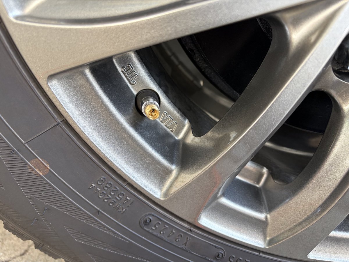 もふもふの極み☆基礎練習🌱東北支部新入り tweet media