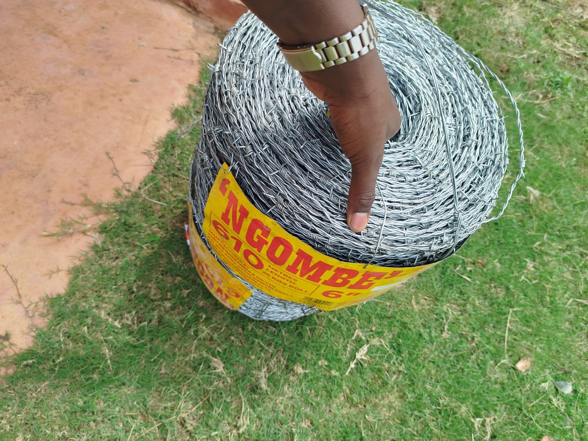 CHOBOS™ tweet media