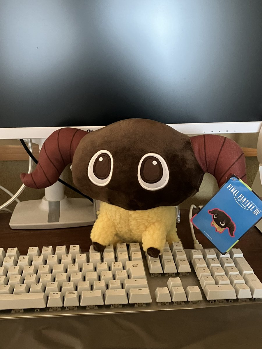 たけしいたけ tweet media