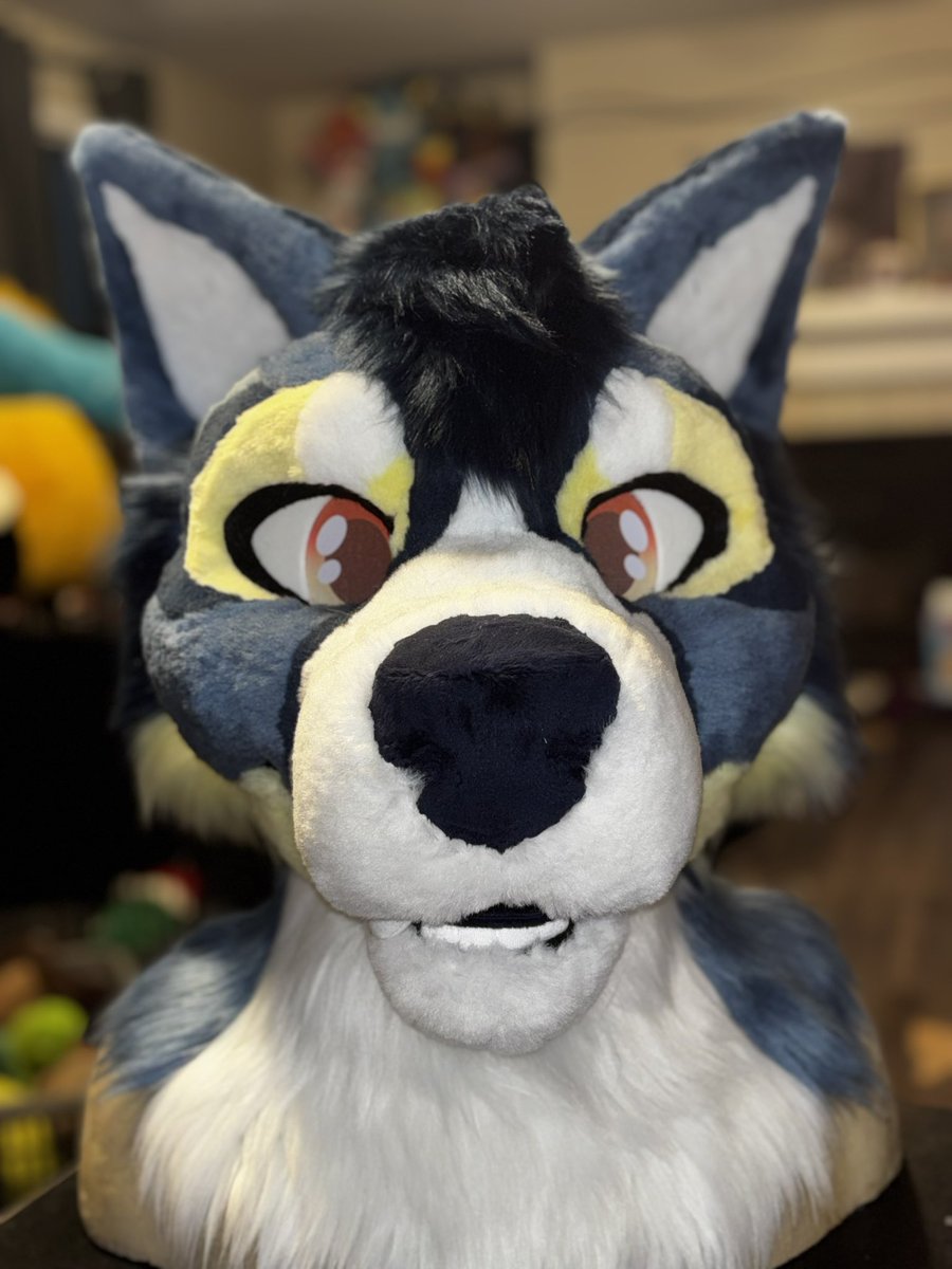 moose 🔜 MFF tweet media