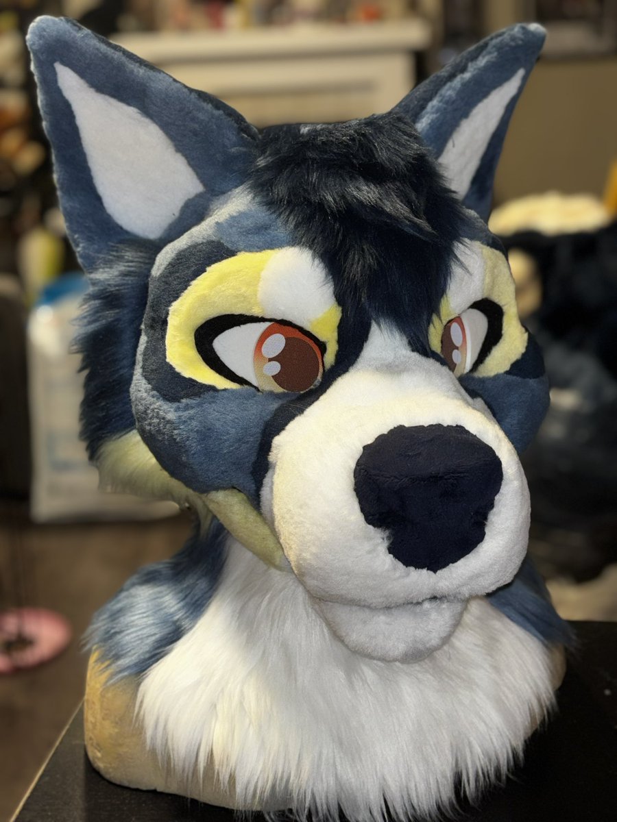 moose 🔜 MFF tweet media