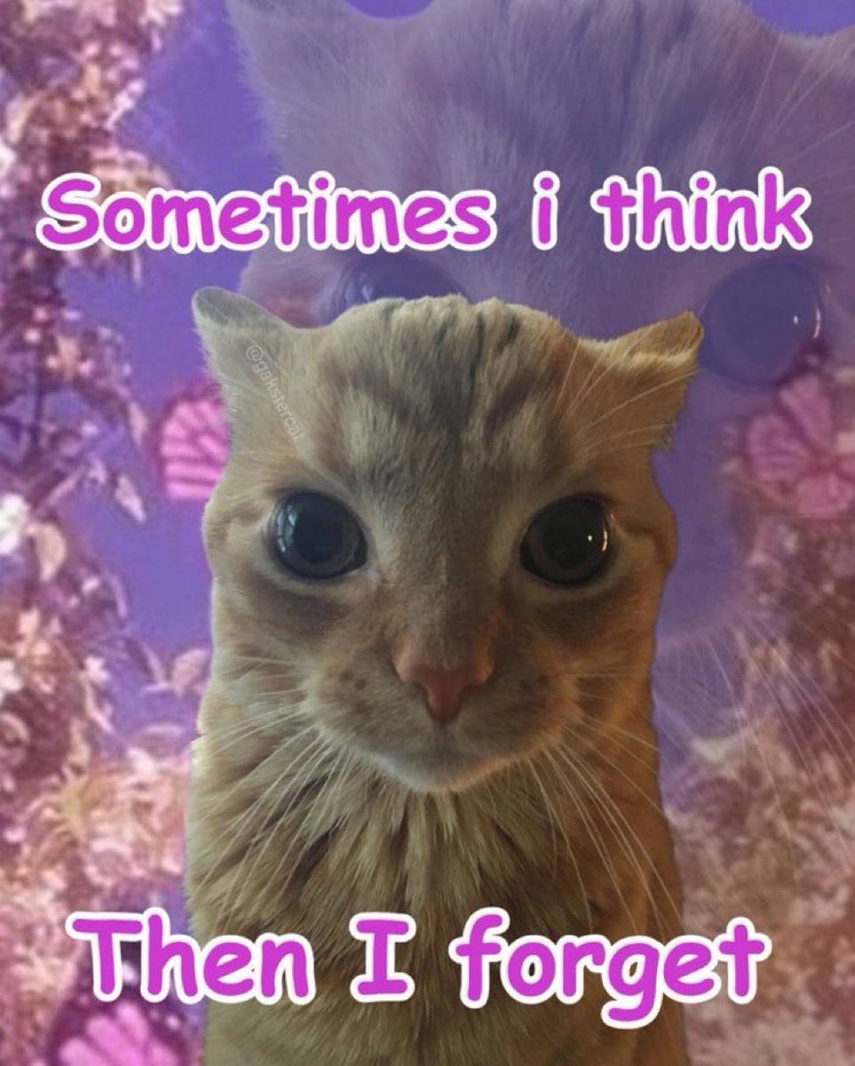 GaK (@gakstercat) on Twitter photo 