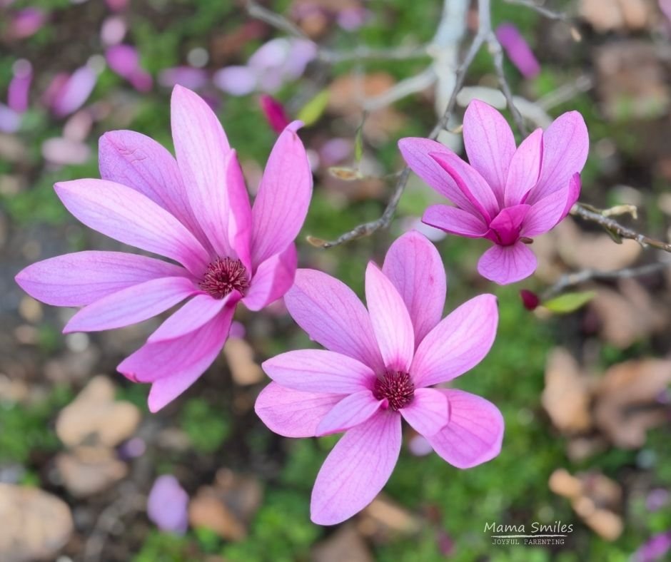 MaryAnne tweet media