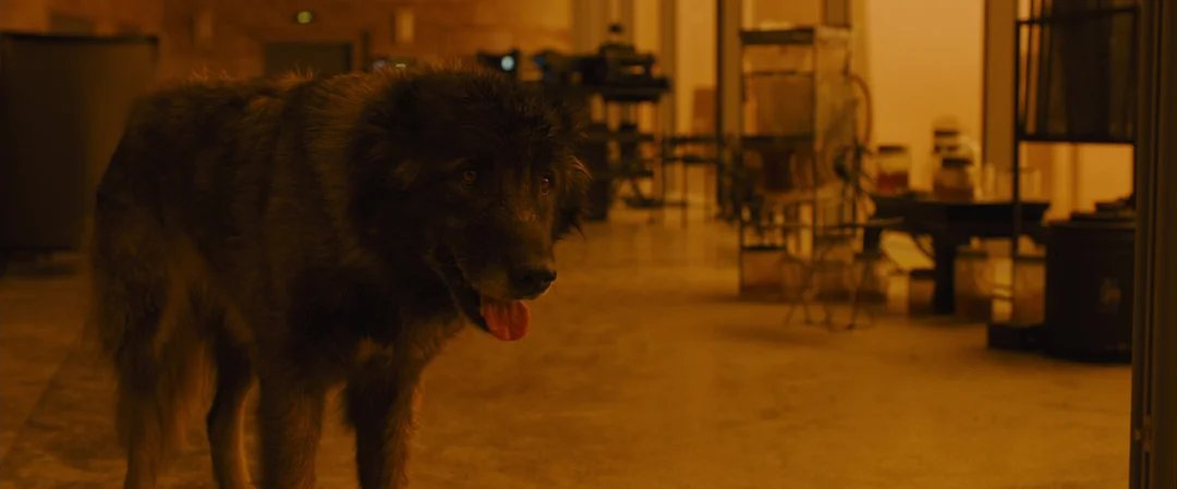 Jim Maxwell tweet media