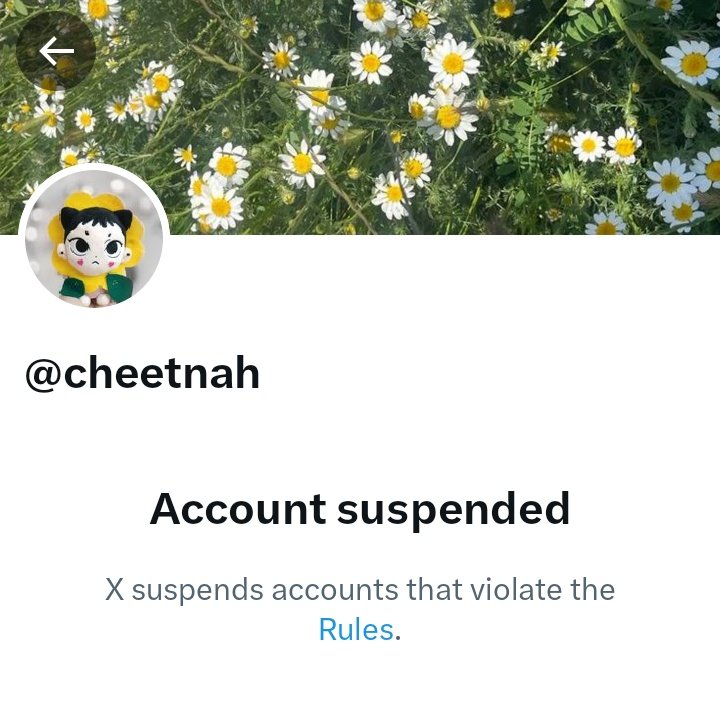 Akun promote raja kena suspend 😭