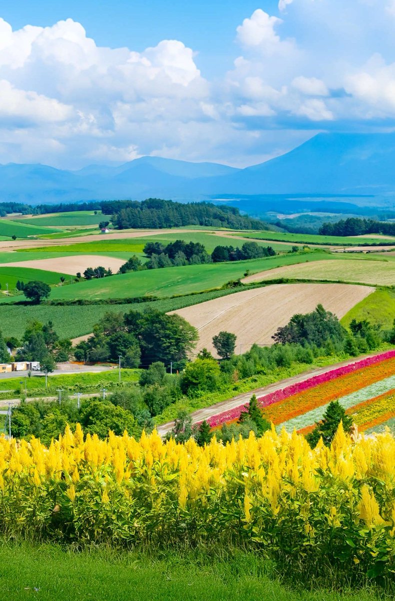 Steph_anie 💜 tweet media