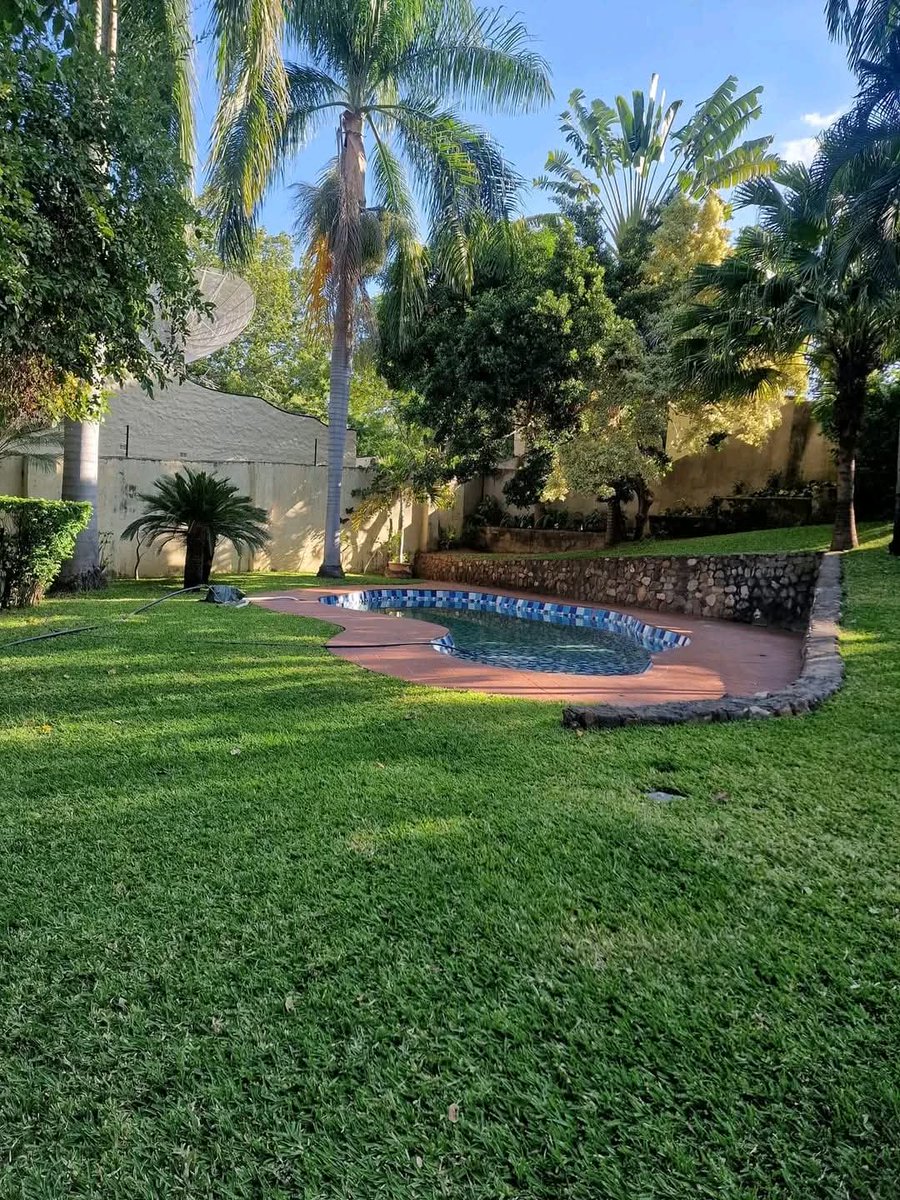 Zimadventures tweet media