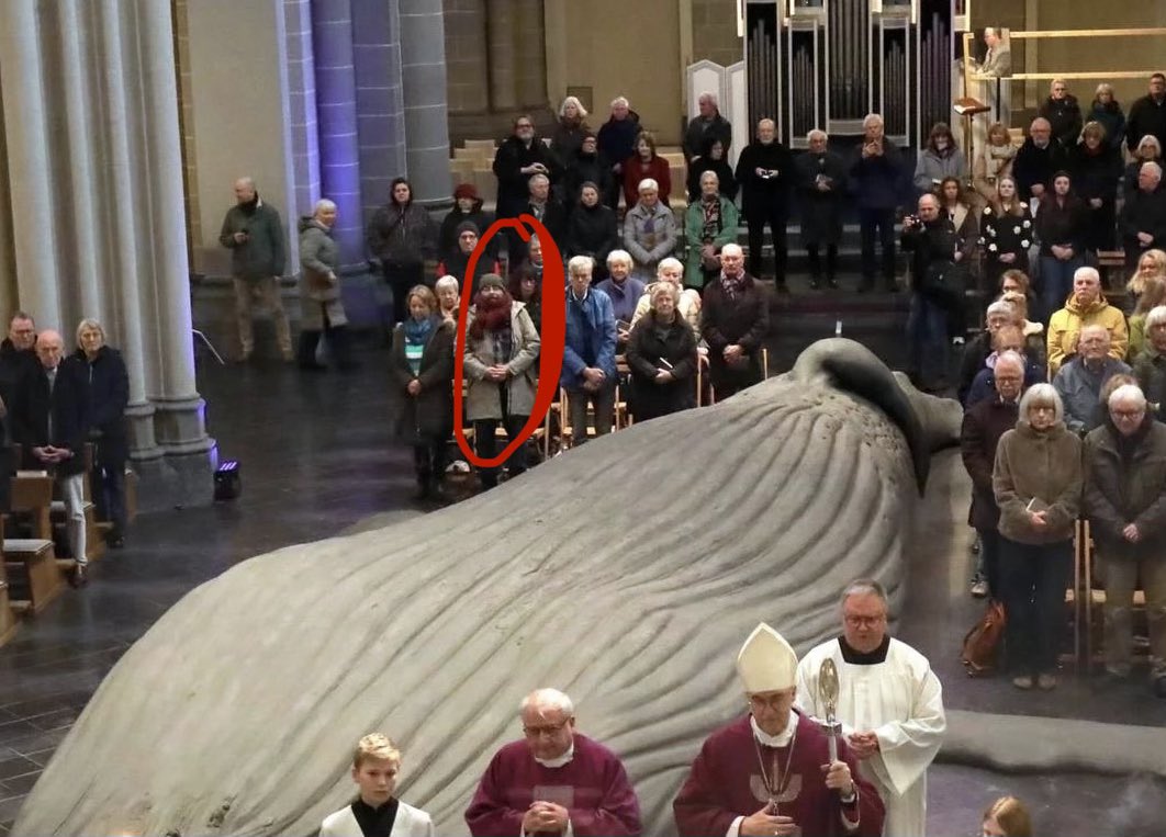 Paul Camarata tweet media