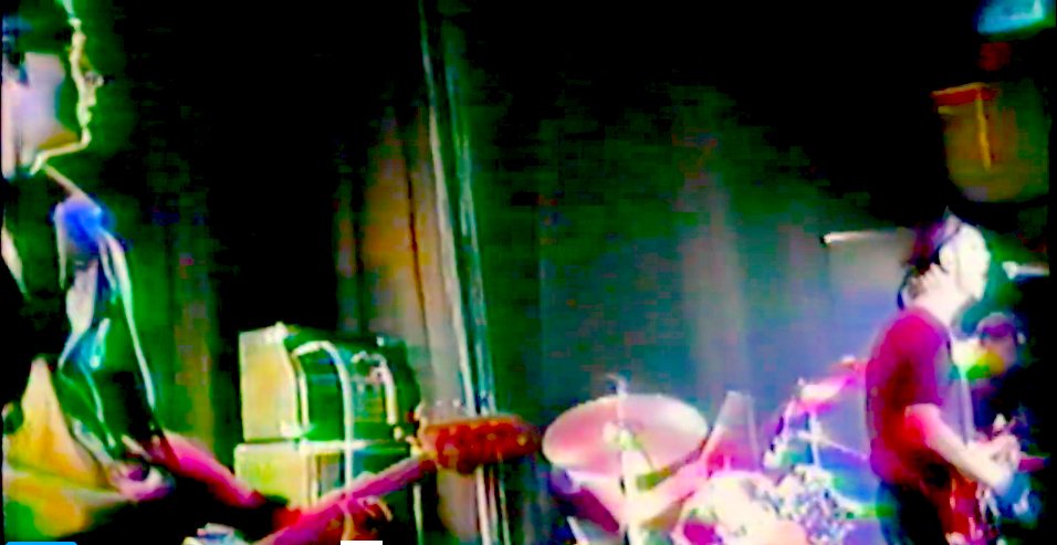 Louis Elovitz tweet media