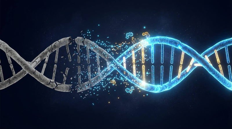 Mr. Pool,

速報：米国食品医薬品局（FDA）は、細胞レベルで老化を逆転させることを目的とした治療法の、史上初のヒト臨床試験を正式に承認しました。

Nature