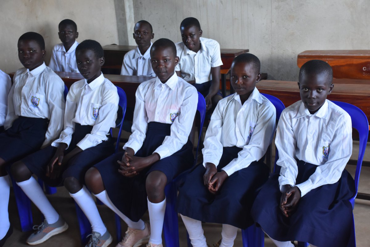 Peace News Network tweet media