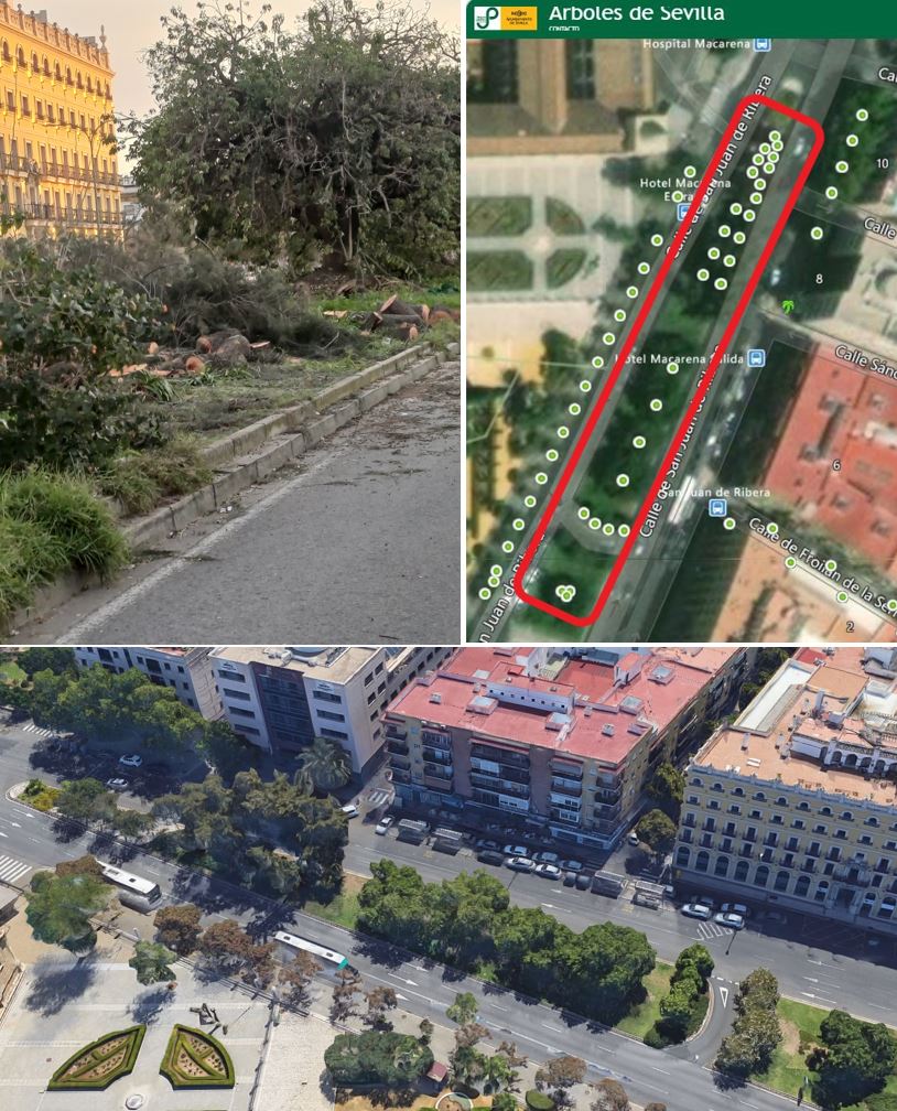 Red Territorios Sostenibles #RedEcoTerritorios tweet media