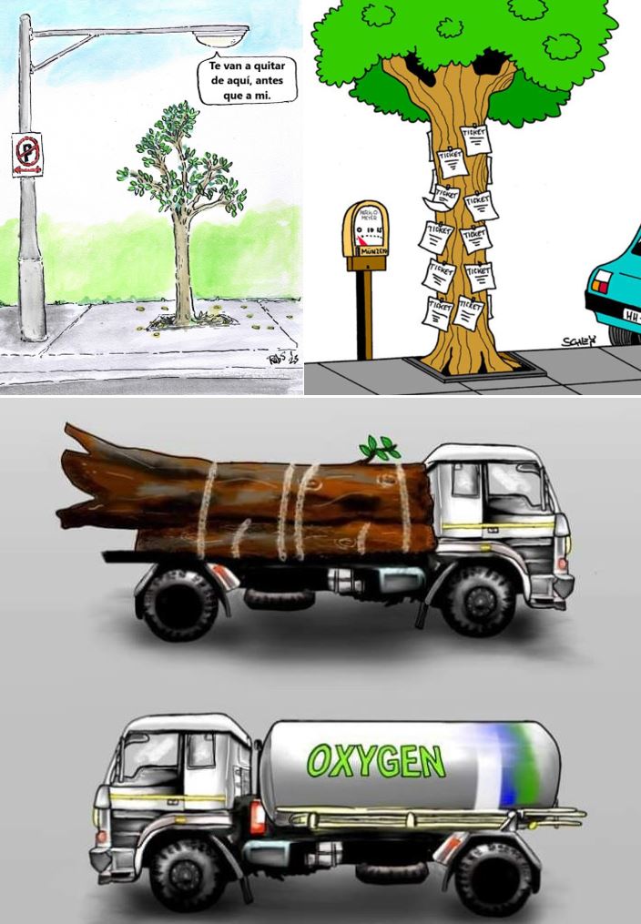 Red Territorios Sostenibles #RedEcoTerritorios tweet media