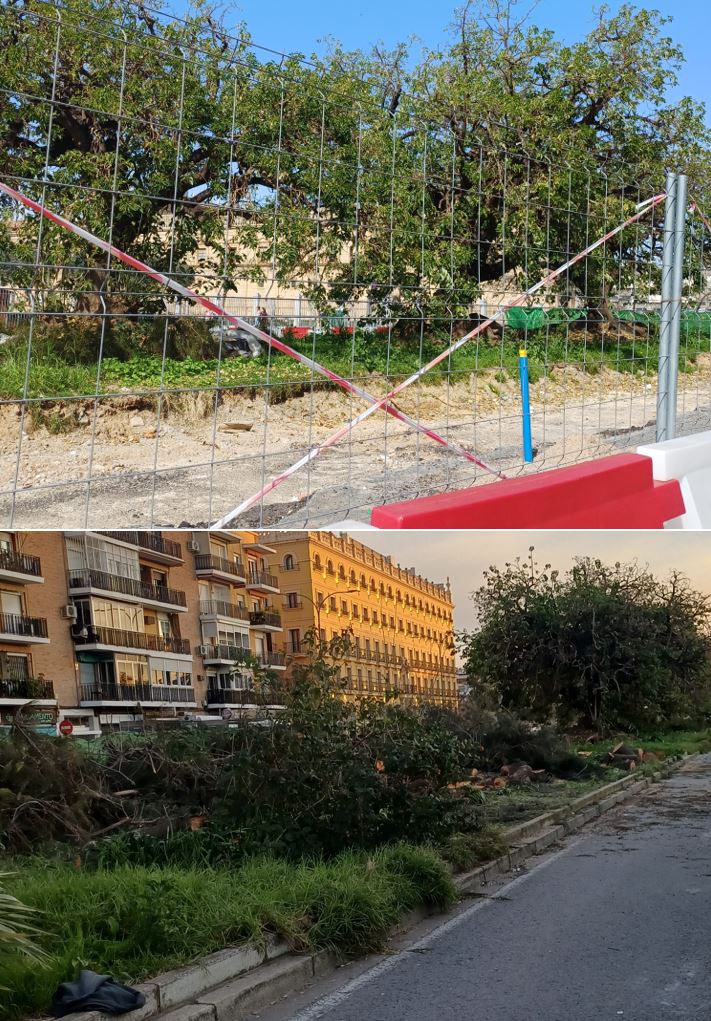 Red Territorios Sostenibles #RedEcoTerritorios tweet media