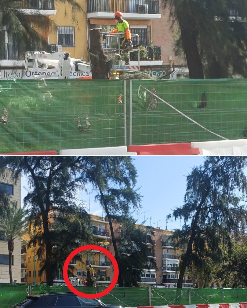 Red Territorios Sostenibles #RedEcoTerritorios tweet media