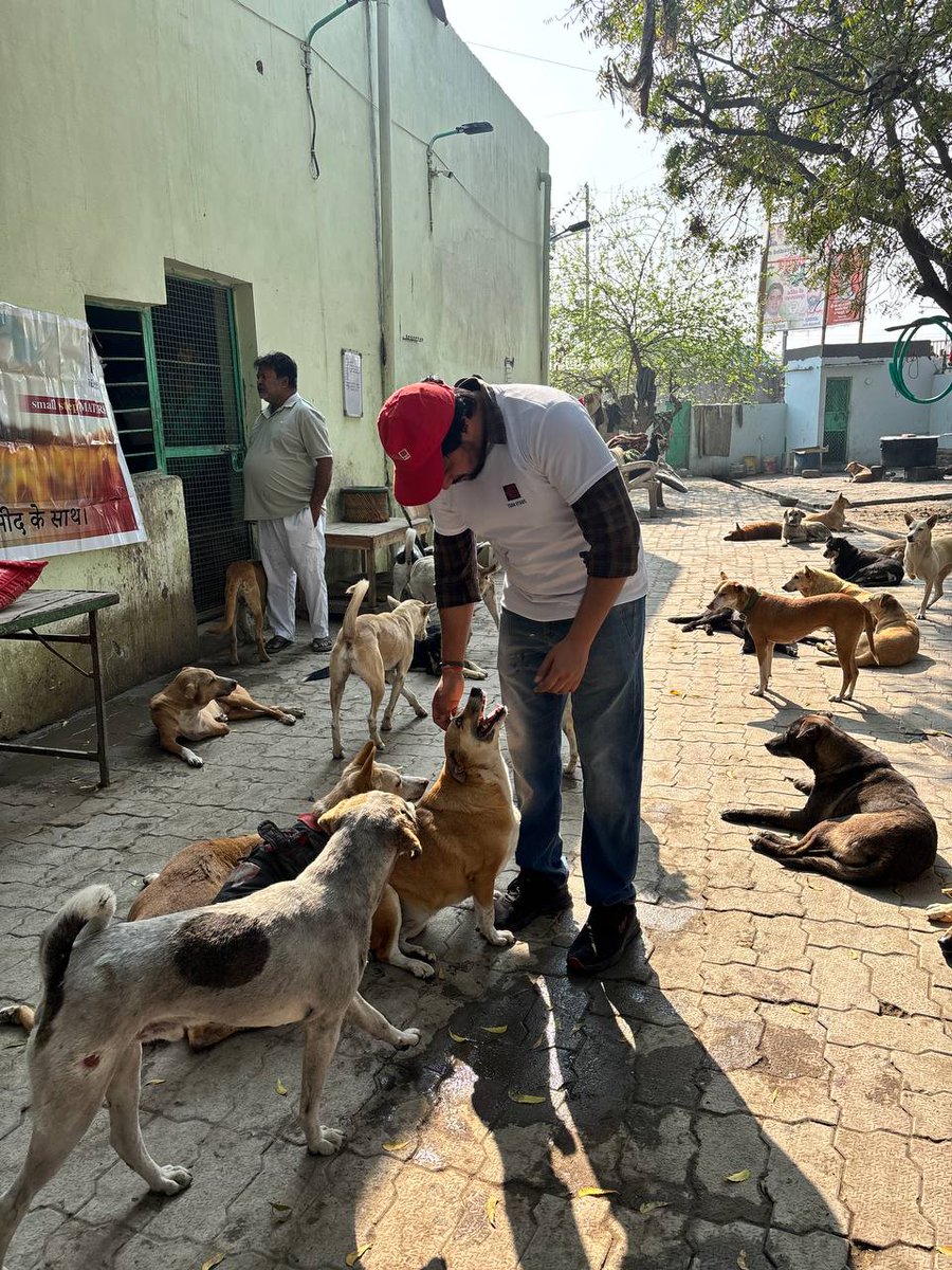 Team_Ethos's tweet photo. It wasn’t just about food. It was about making them feel safe, loved, and cared for. Even small acts of kindness matter. 

Let’s keep spreading love to every paw that needs it. 

#WaggingTails #HappyHearts #SpreadLove #PawsOfHope #KindnessMatters https://t.co/dMVjHIhAgO