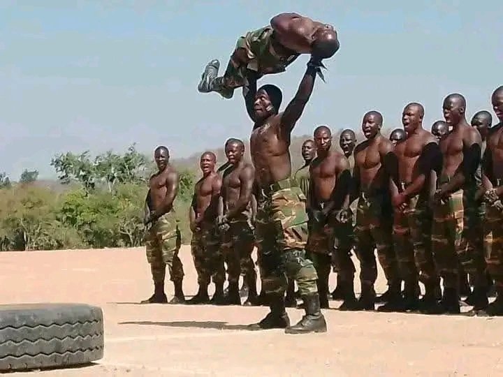 Thewhiteshadow@logistics🗨️ tweet media