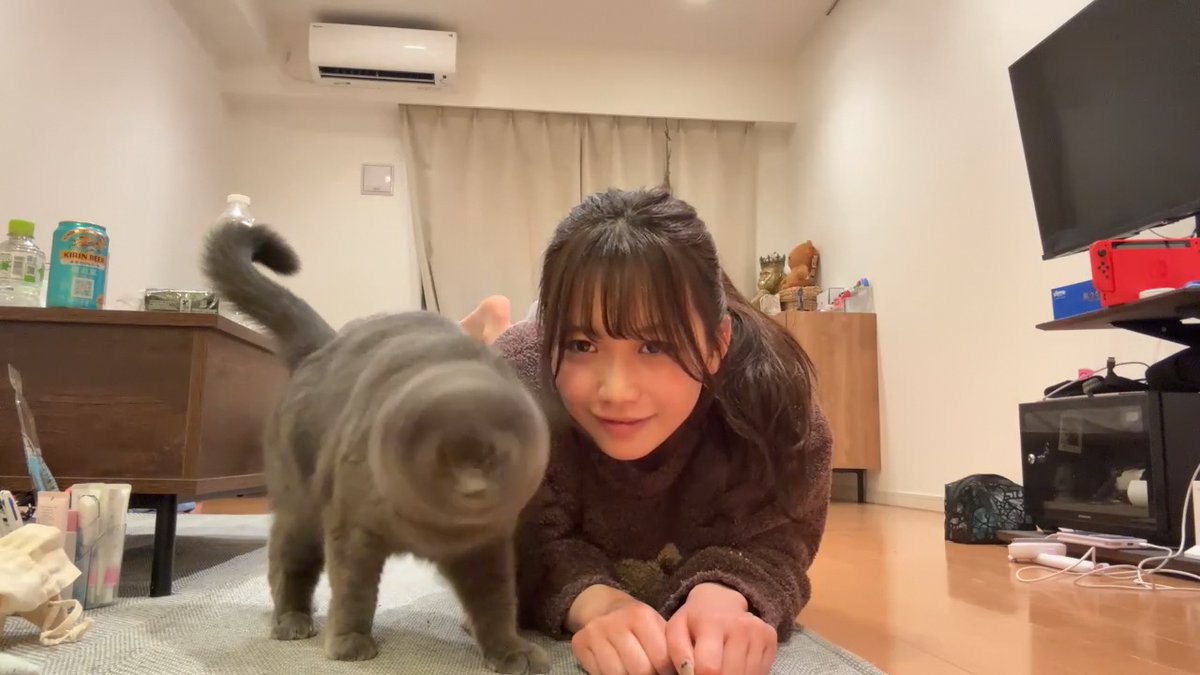 クリッパーびんびん年中無休 tweet media